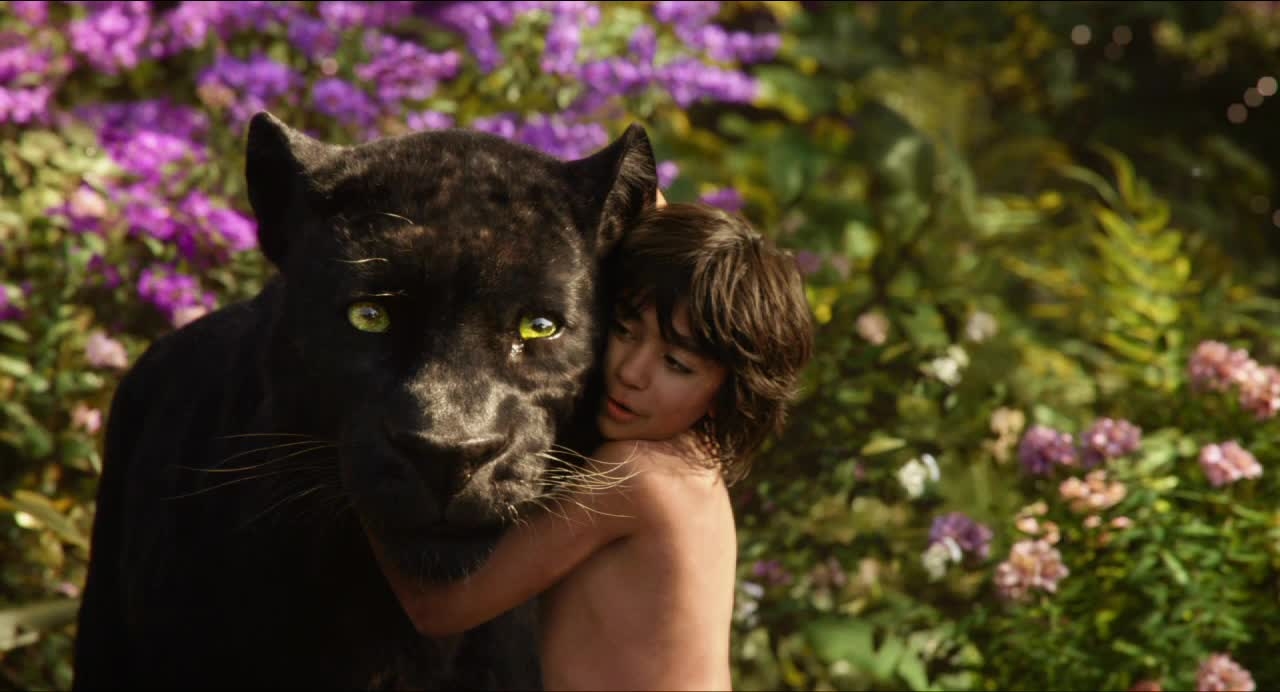 Jungle Book Bagheera