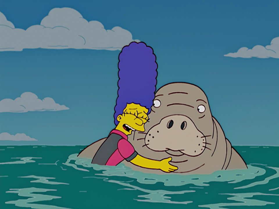 S17 E01 – Bonfire of the&nbsp;Manatees