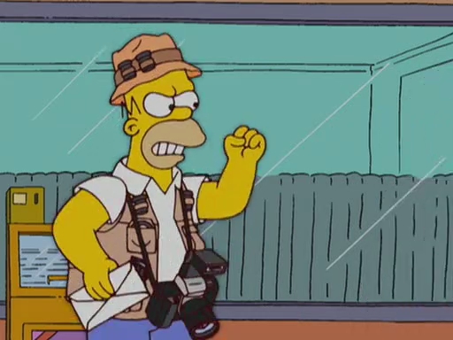 S18 E16 –&nbsp;Homerazzi